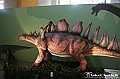 VBS_1026 - Dinosauri. Terra dei giganti